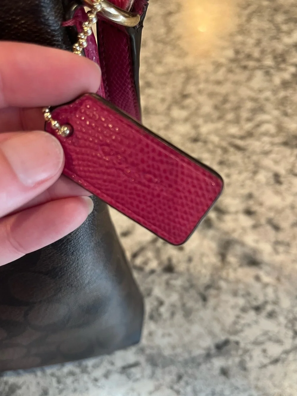 Coach Signature File Crossbody Bag